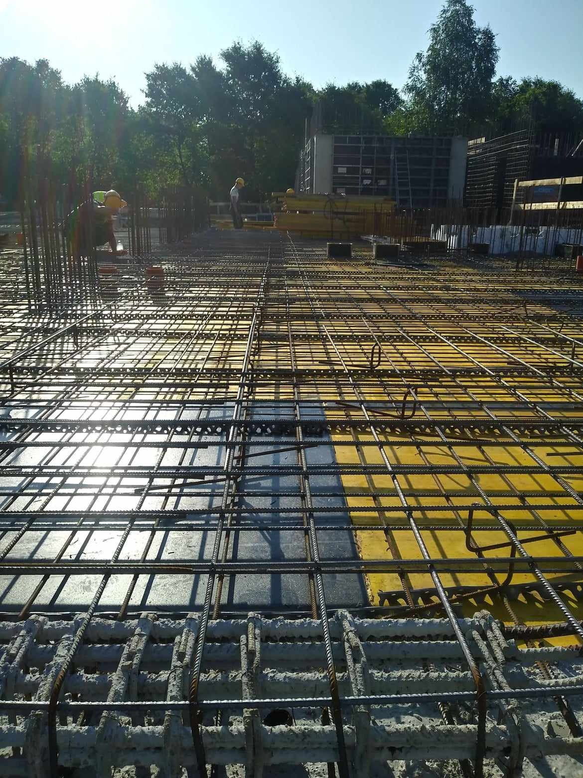 Zbrojenie płyty fundamentowej z widocznymi prętami stalowymi, żółtą szalunką i pracownikami w kaskach w tle, w słoneczny dzień.