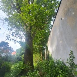 Brukisiema Mateusz Szczepaniak - Wyjątkowe Układanie Kostki Granitowej Tarnowskie Góry