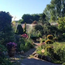 Kaskadowy ogród z kwitnącymi rabatami i ścieżką z kostki, zraszany przez system nawadniania. Dekoracyjne lampy kuliste i formowane krzewy dodają uroku.