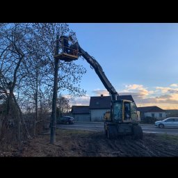 CKkoparki - Żółta koparka z wysięgnikiem i platformą, na której stoi pracownik, przycina gałęzie drzewa przy drodze, w tle widoczny budynek i przejeżdżające samochody.