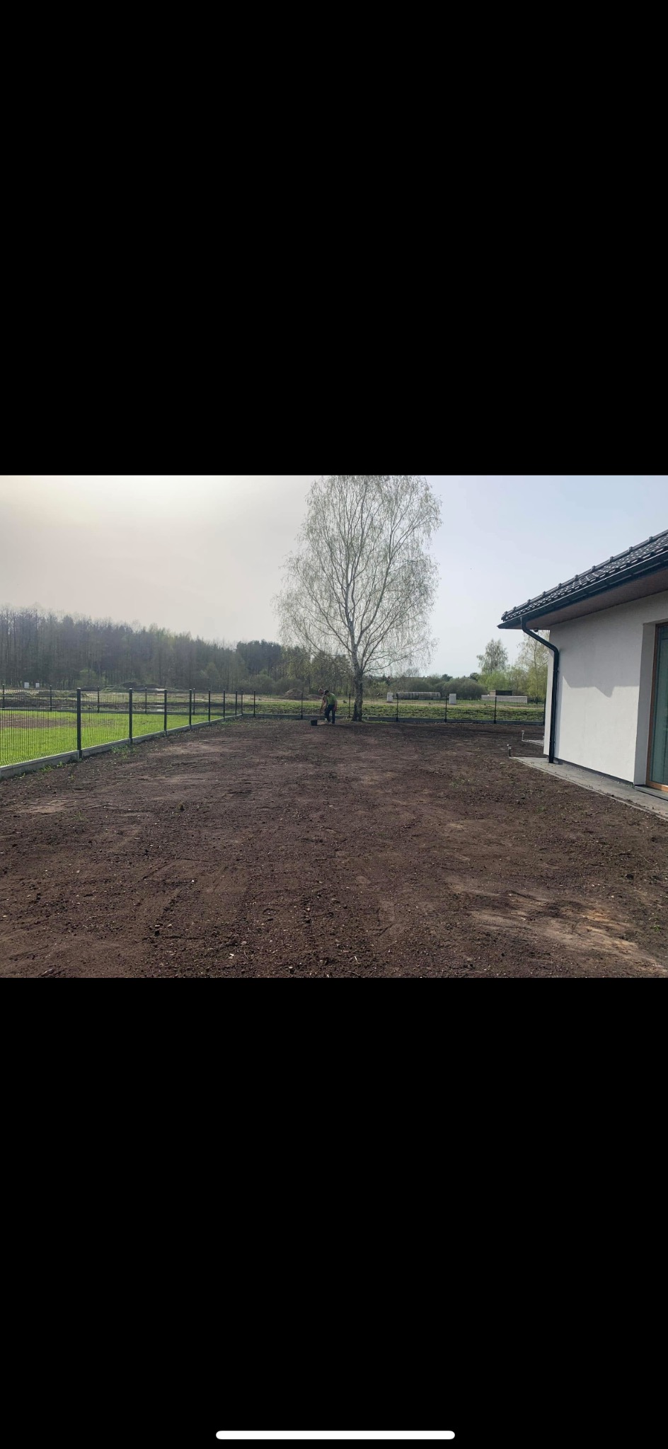 Przygotowanie terenu pod trawnik: wyrównana, ciemna ziemia, widoczny pracownik z grabiami pod samotnym drzewem brzozy, w tle ogrodzenie panelowe i zieleń.