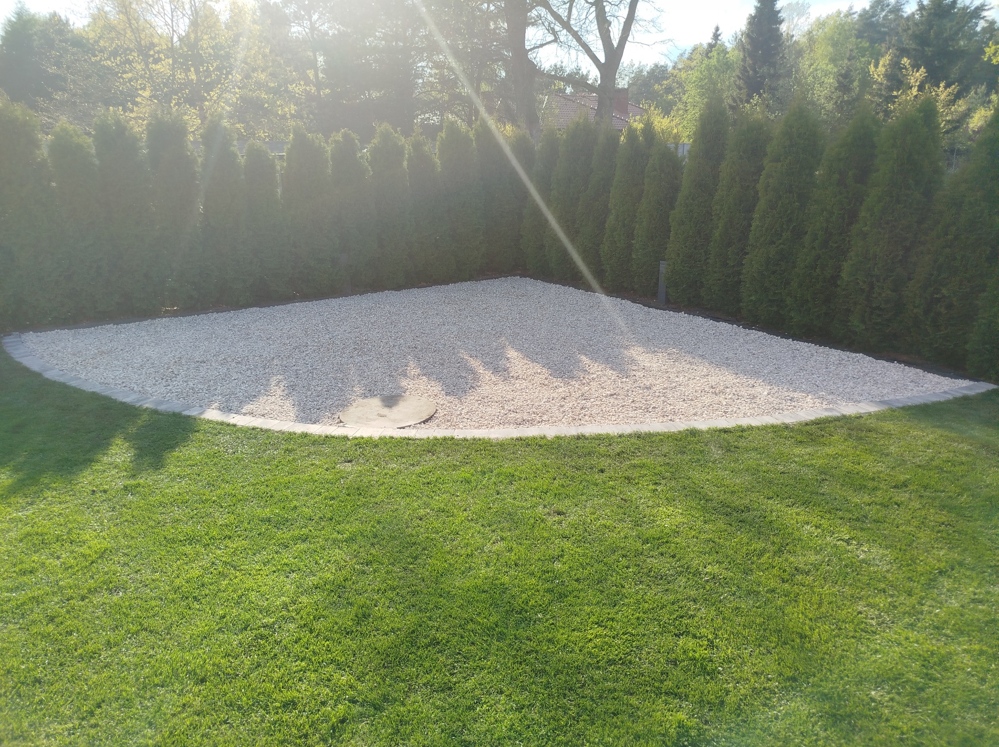 Ukończona aranżacja ogrodu: wysypany żwirkiem teren w kształcie trapezu, obrzeża z kostki, zielony trawnik i żywopłot z tui w tle, w słoneczny dzień.