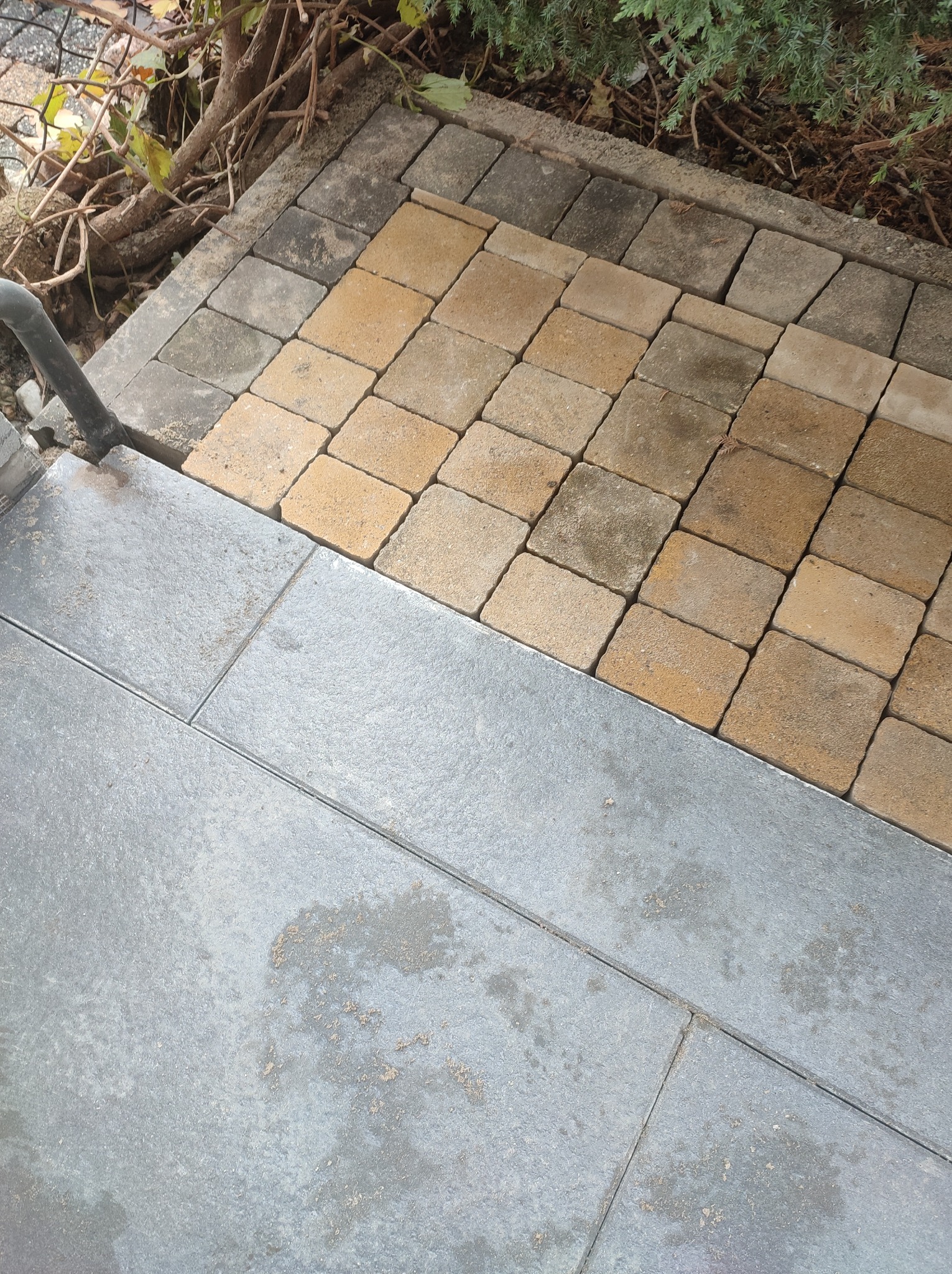 Ułożona kostka brukowa w dwóch odcieniach beżu i szarości, przylegająca do szarej płyty chodnikowej, widoczne fragmenty korzeni i roślinności w tle.