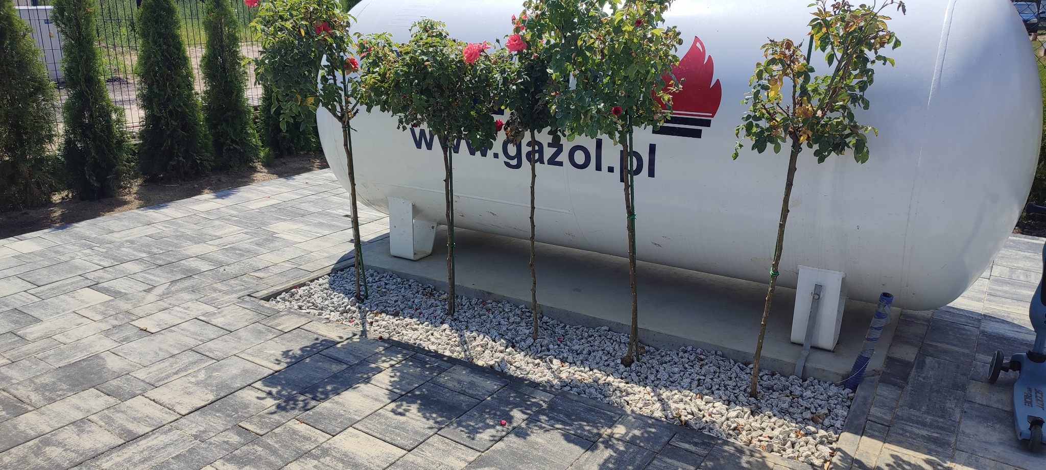 Szara kostka brukowa ułożona wokół białego zbiornika gazu z logo firmy, ozdobiona rzędem kwitnących drzewek różanych.