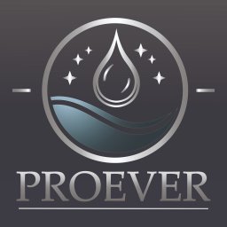 ProEver Dawid Osiecki - Przeprowadzki Poznań