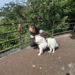 USŁUGI PARKIECIARSKIE