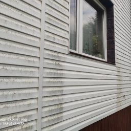 WASH WASH PIOTR REPLIN - Fragment białej elewacji sidingowej z widoczną różnicą w czystości, po lewej stronie brudna, po prawej umyta, okno z brązową ramą i widoczną rośliną wewnątrz, na dole brązowa podmurówka.