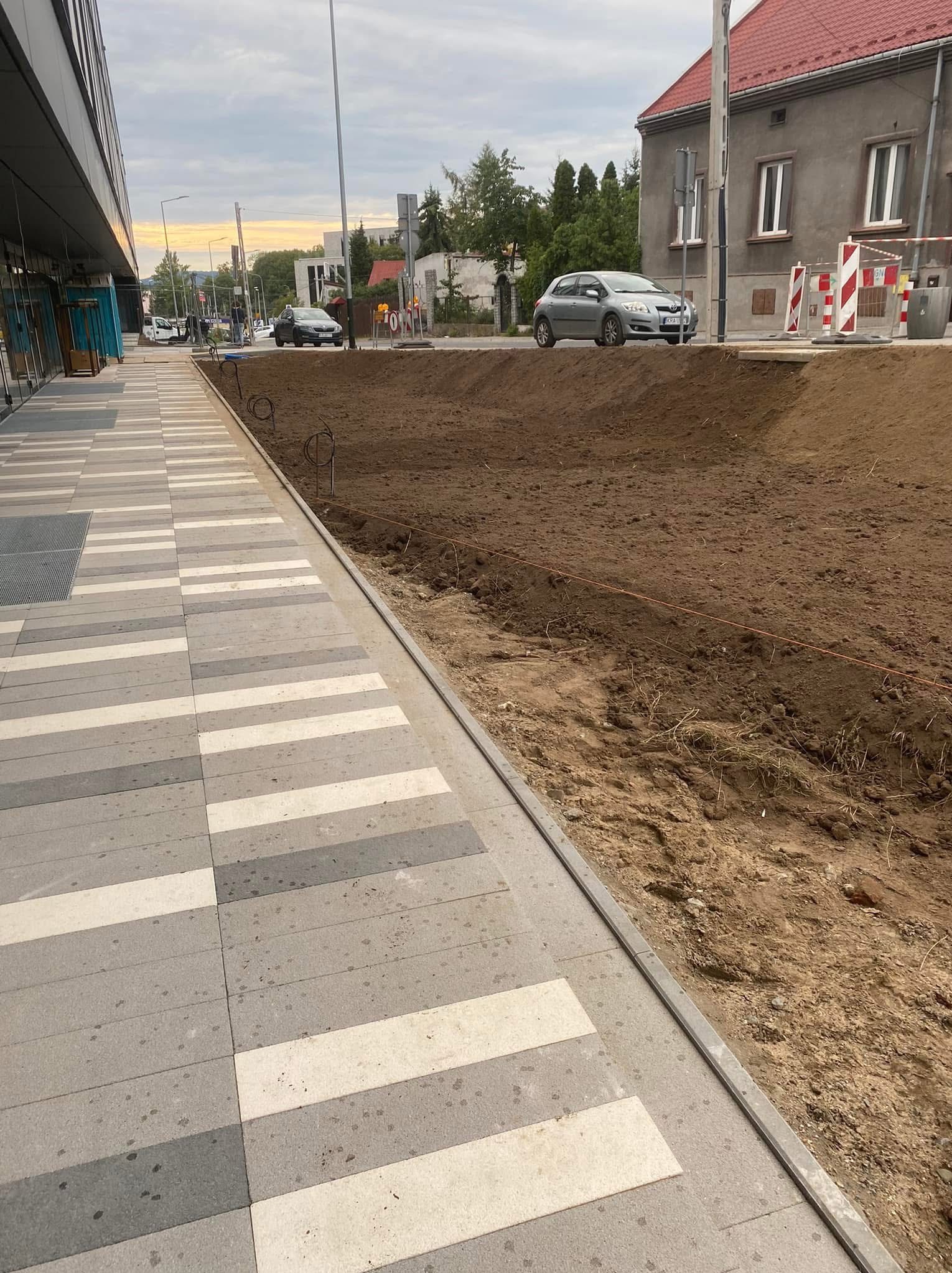Przygotowany teren pod nasadzenia obok chodnika z kostki w biało-szare pasy. W tle ulica z samochodami i budynki. Widoczne kable i wytyczone granice.