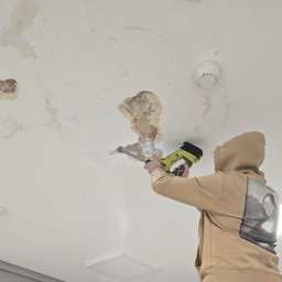 Vol_group - Malowanie Elewacji Warszawa