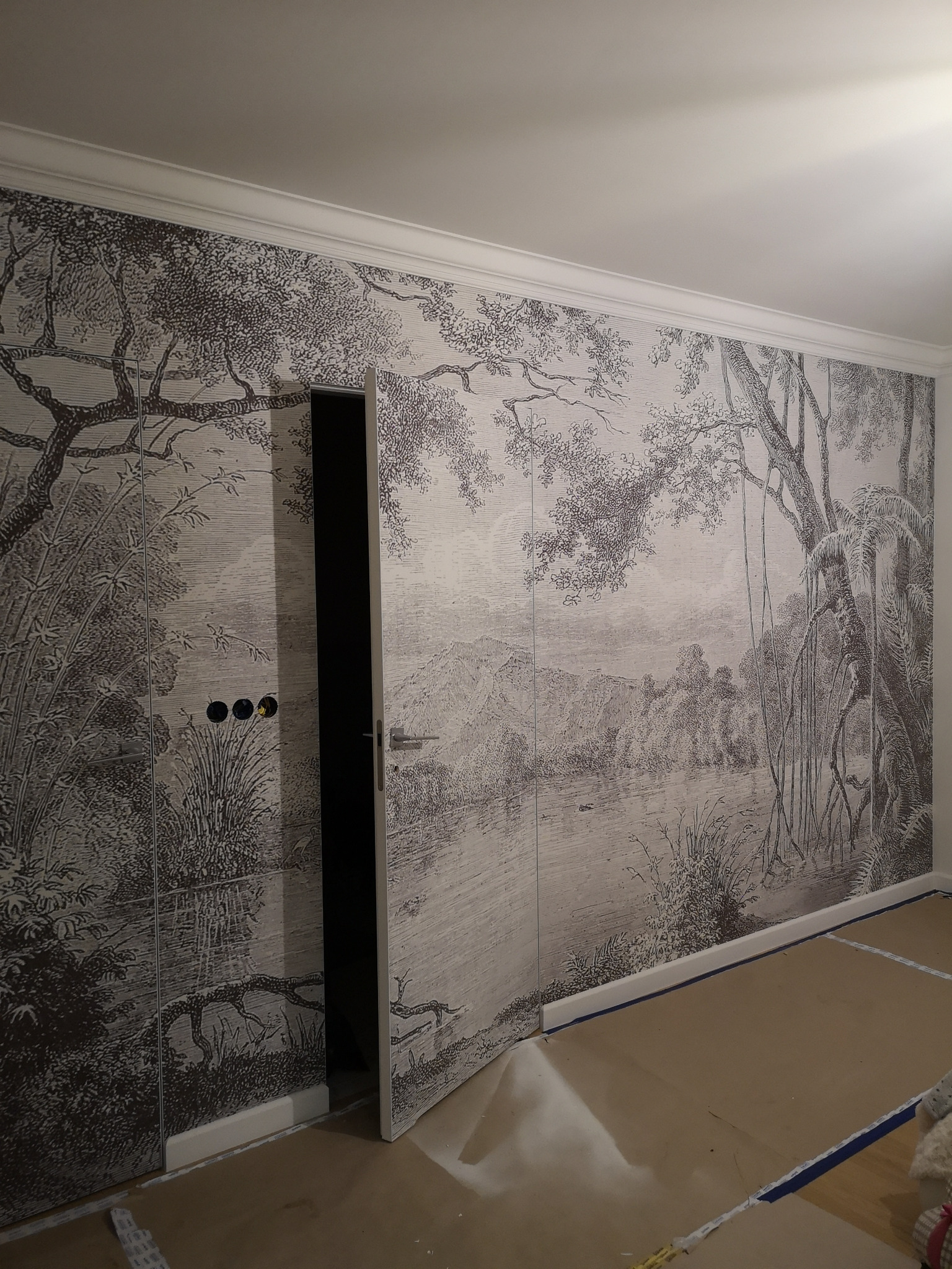 Ściana z fototapetą przedstawiającą krajobraz tropikalny z drzewami i rzeką, zintegrowana z drzwiami szafy wnękowej, widoczne gniazdka elektryczne.