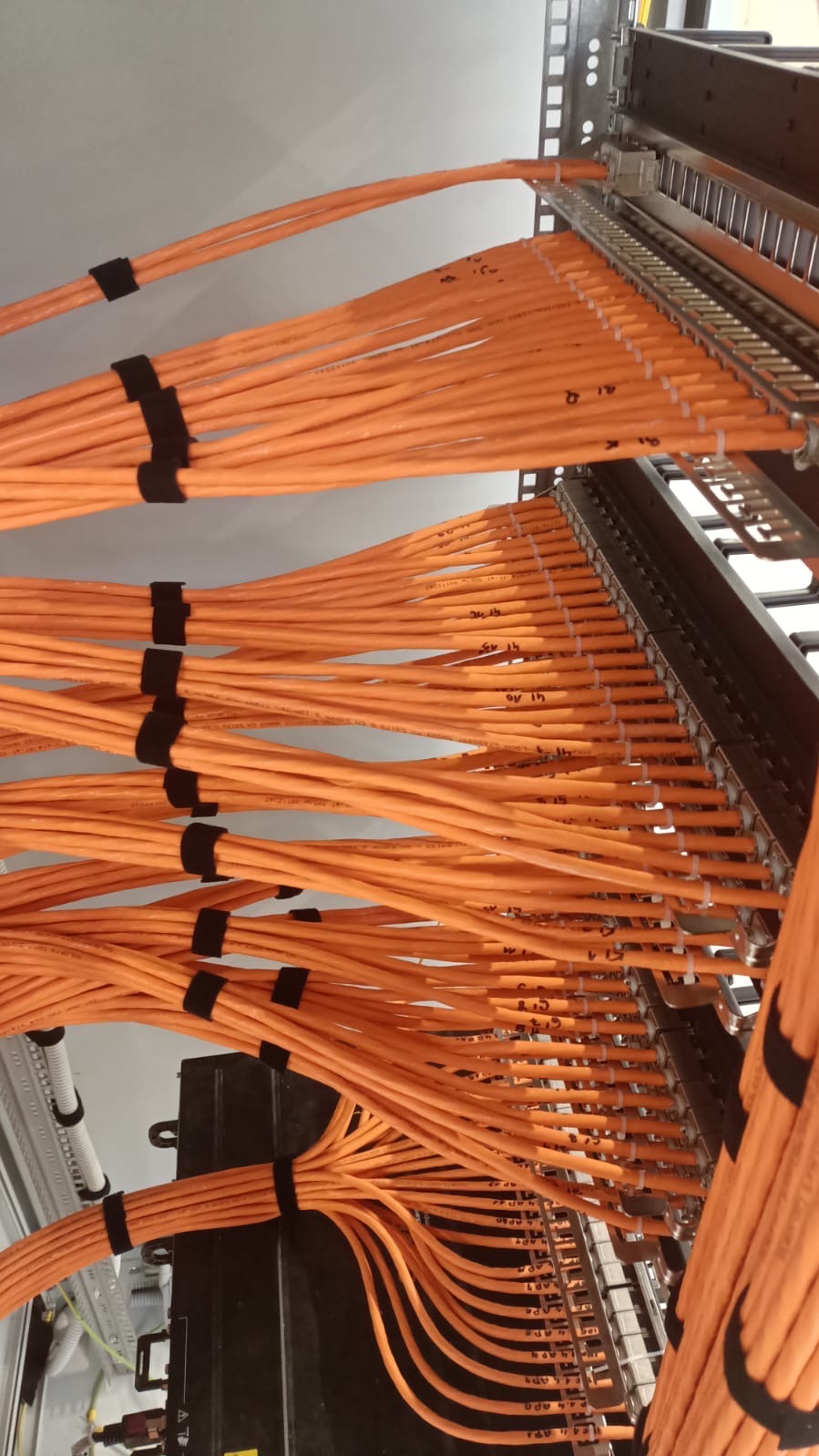 Rząd pomarańczowych kabli sieciowych uporządkowanych w metalowej szafie rack, każdy oznaczony i przymocowany czarnymi opaskami zaciskowymi, widok z dołu.