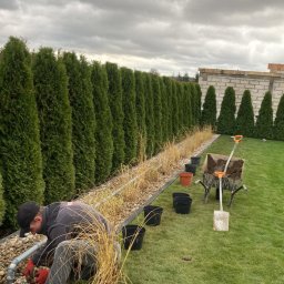 Hydrotech Tomasz Zglinicki - Rabata biohydrofitowa z nasadzeniami