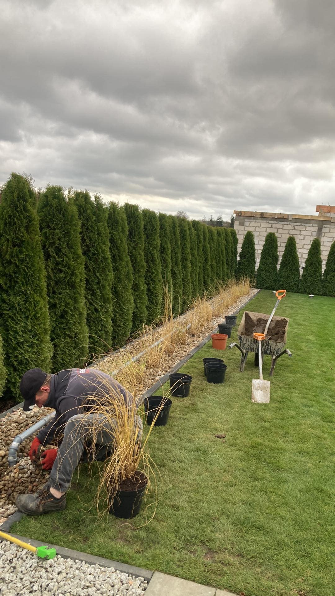 Rabata biohydrofitowa z nasadzeniami