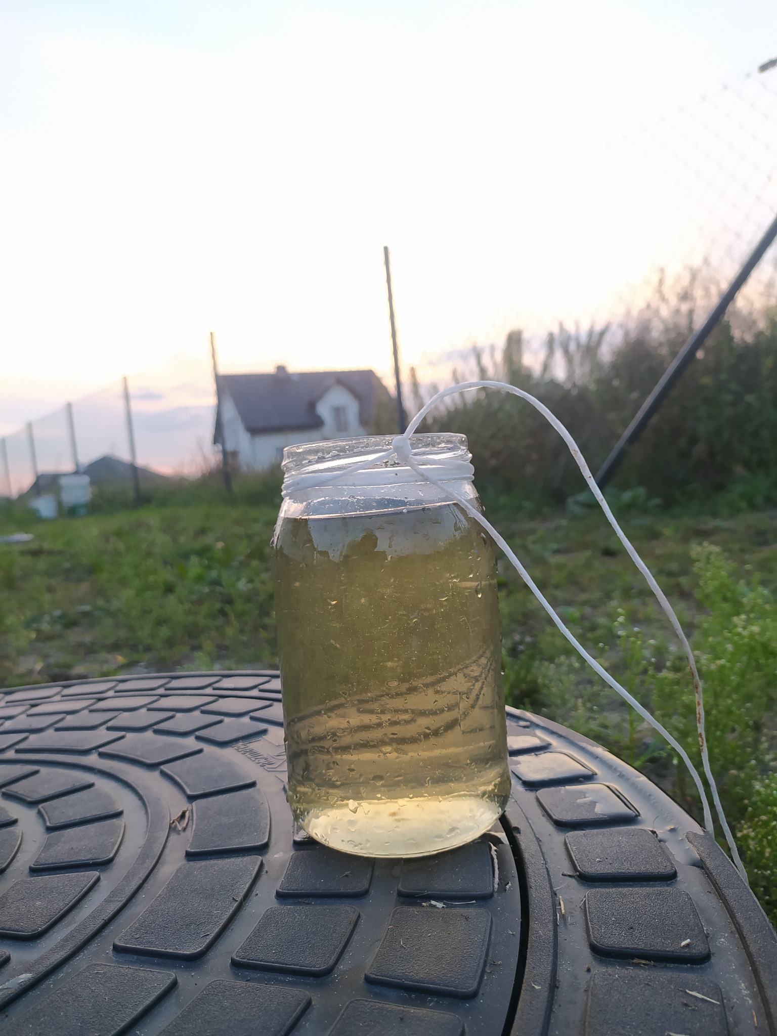 Próba ścieku oczyszczonego z oczyszczalni biologicznej SBR