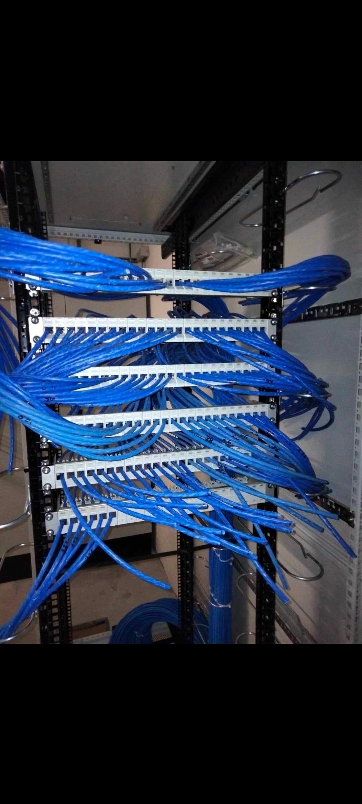 Szereg niebieskich kabli sieciowych podłączonych do paneli krosowniczych w szafie rack, widoczne metalowe uchwyty na kable i fragment ściany.