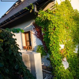 W.H GROUP SPÓŁKA Z OGRANICZONĄ ODPOWIEDZIALNOŚCIĄ - Biała pompa ciepła na zewnątrz budynku, częściowo zasłonięta przez krzew, z bluszczem porastającym ścianę.