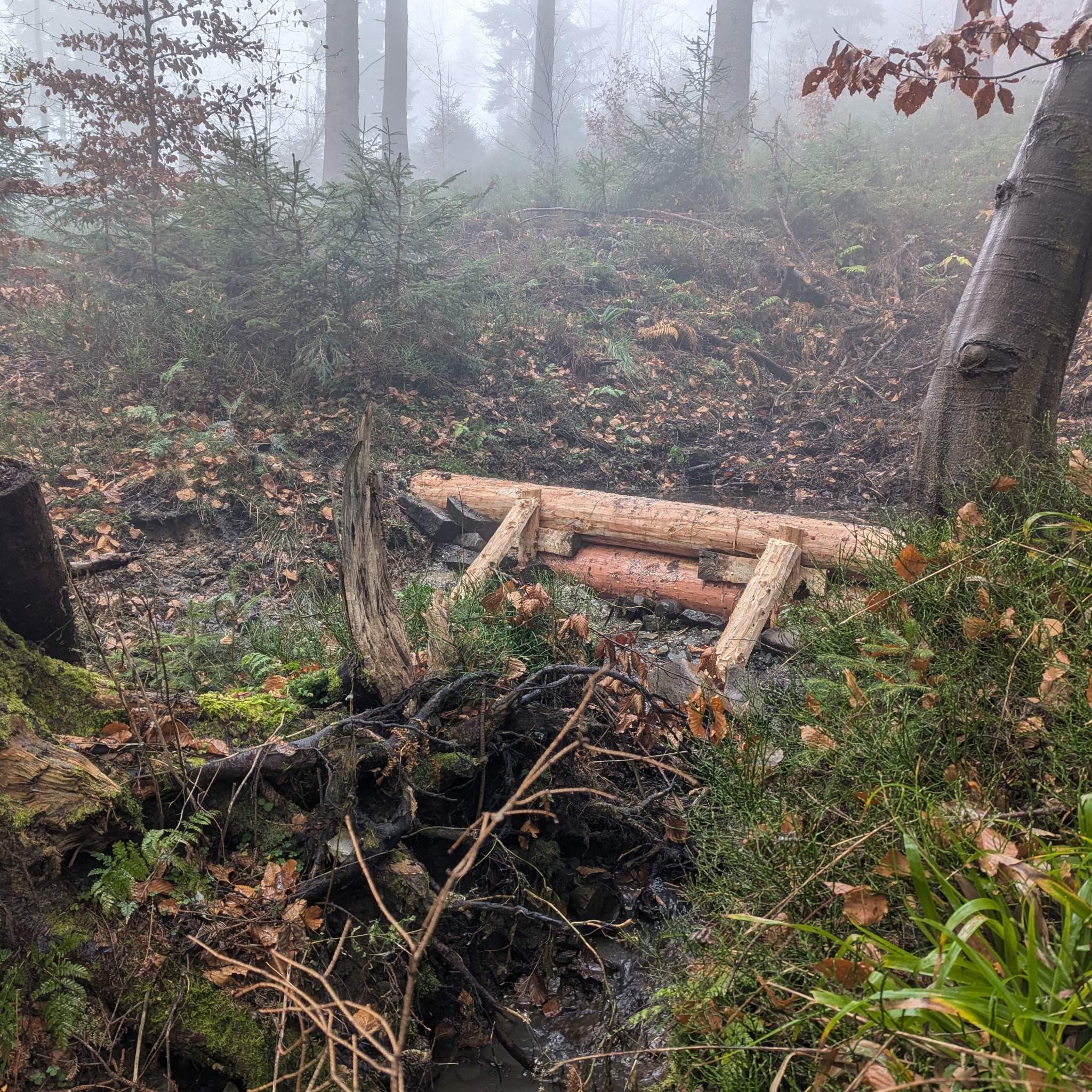Kładka z bali drewnianych nad leśnym strumieniem, mglista sceneria, naturalne otoczenie.