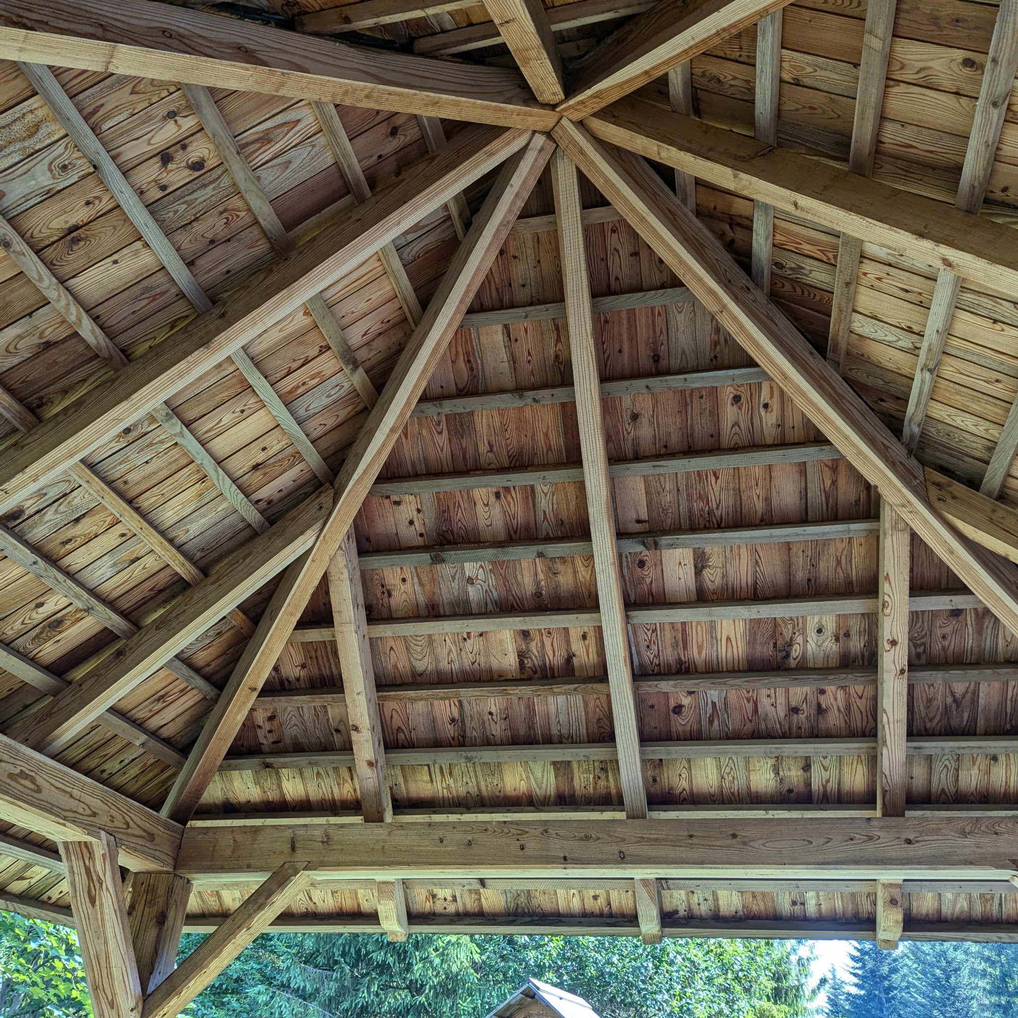 Drewniana konstrukcja dachu altany z widocznymi belkami nośnymi i deskami, z zewnątrz widok na zieleń drzew.