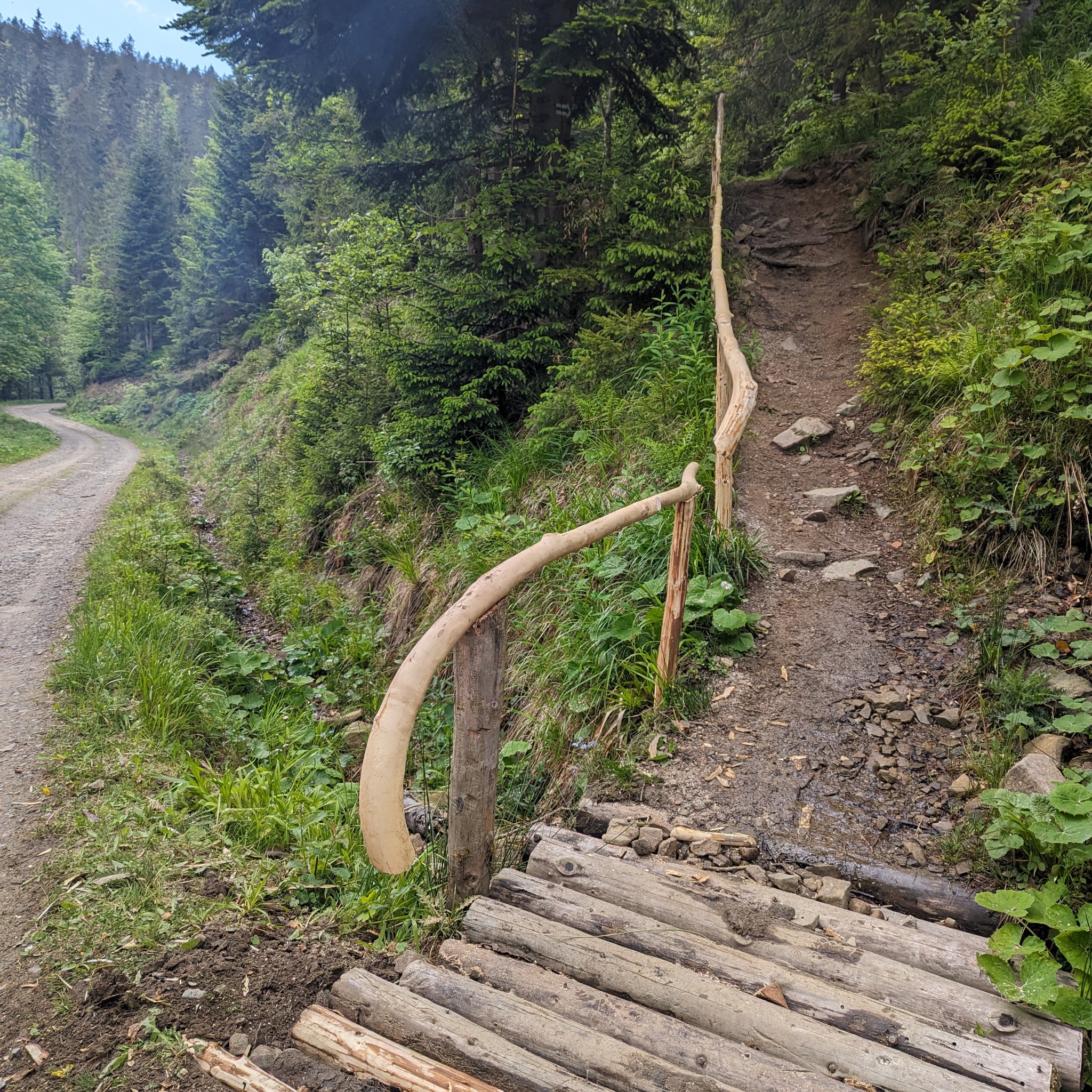 Drewniany mostek z balustradą z naturalnego drewna w lesie, prowadzący do stromego, błotnistego szlaku.