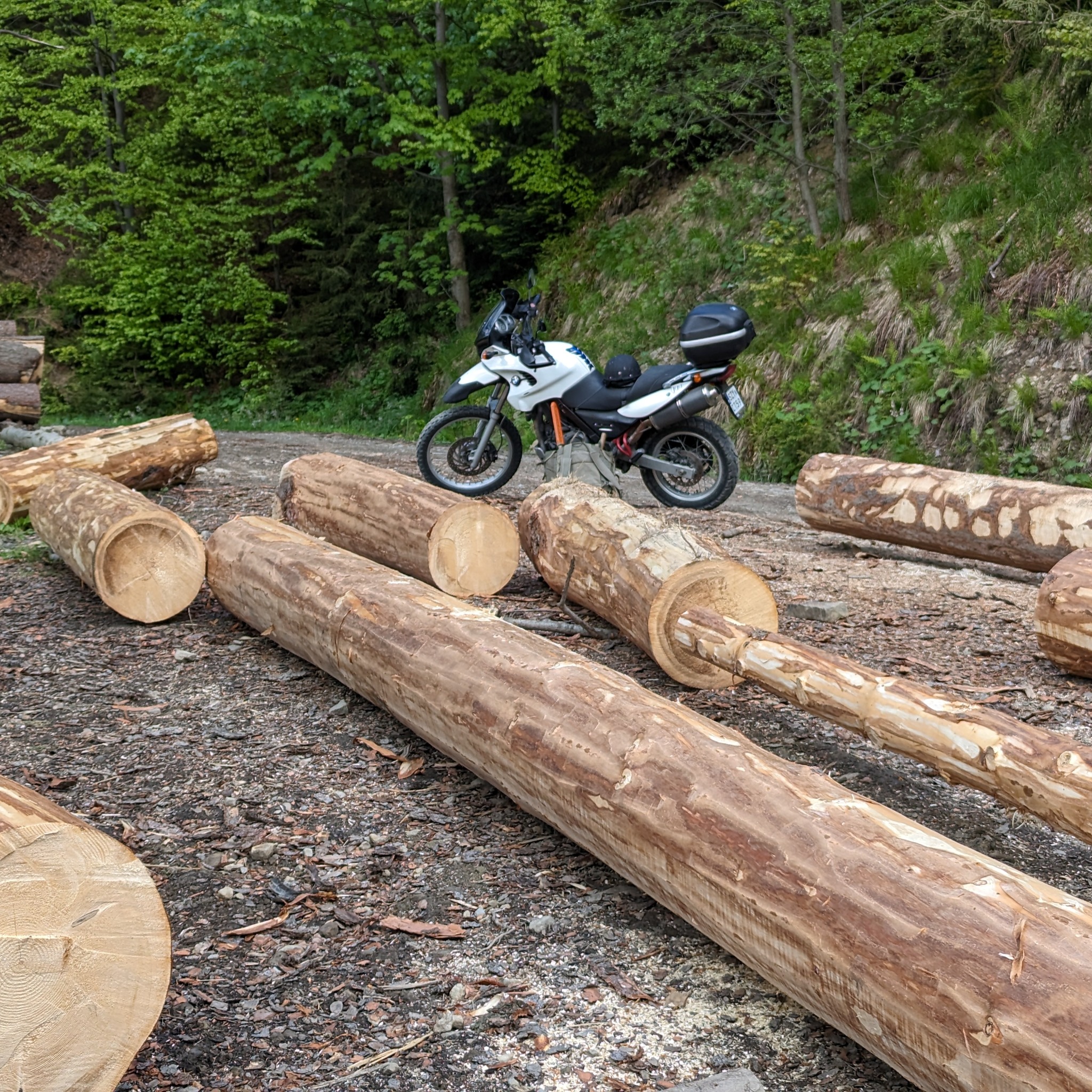 Obróbka drewna: Świeżo ścięte, okorowane kłody drewna leżące na leśnej drodze, z motocyklem typu adventure w tle.