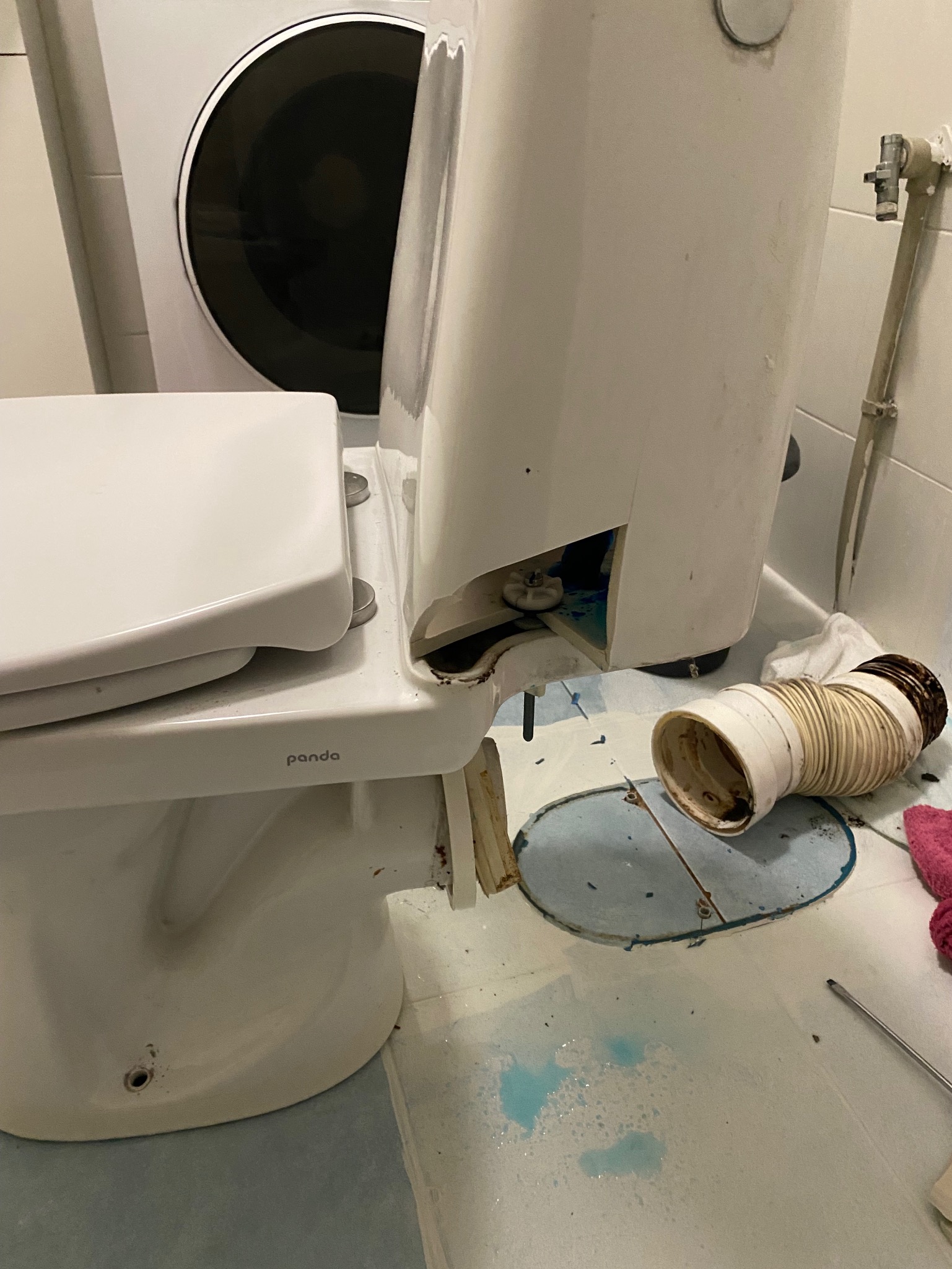 Uszkodzona toaleta marki Panda z odłączoną rurą odpływową i śladami niebieskiego płynu na podłodze w łazience z pralką w tle.
