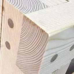 Detal narożnika konstrukcji drewnianej z widocznymi słojami i okrągłymi zaślepkami, jasne drewno w naturalnym oświetleniu.