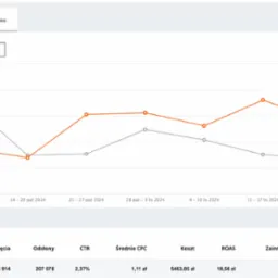 Wykres liniowy prezentujący dane kampanii reklamowej z wartościami ROAS i kliknięć w czasie, z tabelą podsumowującą wyniki wszystkich kampanii.