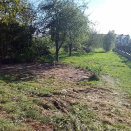 Przygotowany teren pod trawnik z widocznymi śladami po usunięciu gruzu, drzewa w tle i fragment ogrodzenia.