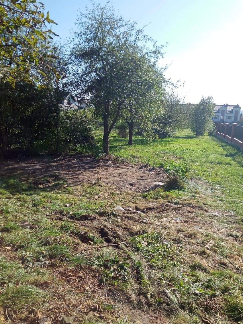 Przygotowany teren pod trawnik z widocznymi śladami po usunięciu gruzu, drzewa w tle i fragment ogrodzenia.