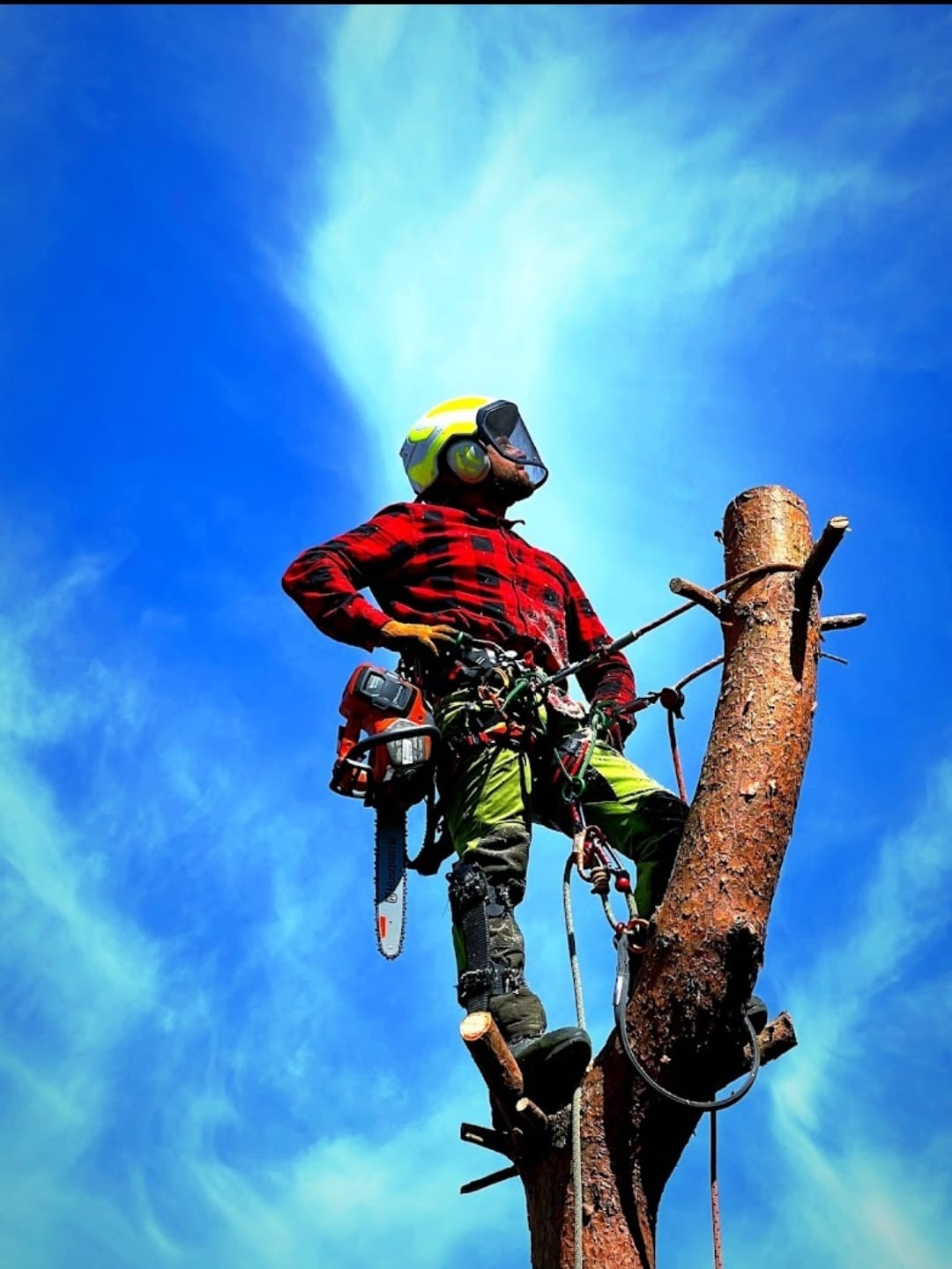 Arborysta w kasku i czerwonej koszuli w kratę, stojący na ściętym pniu drzewa z piłą łańcuchową Husqvarna przy pasie, spoglądający w górę na tle błękitnego nieba z chmurami.