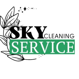 SKY CLEANING - Pranie Tapicerki Samochodowej Bełchat&oacute;w