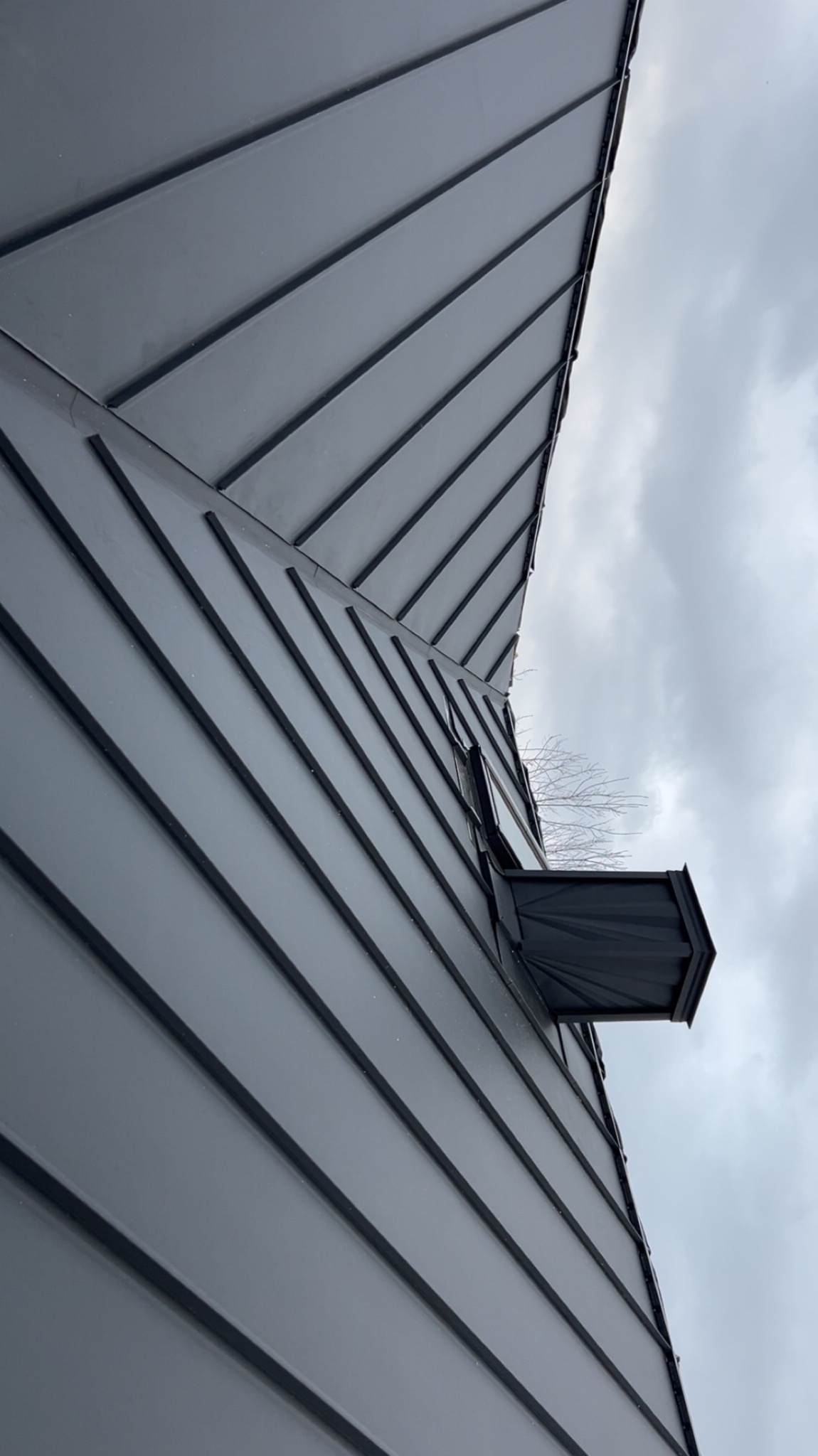 Nowoczesny, grafitowy dach z blachy na rąbek stojący, z widocznym kominem wentylacyjnym i fragmentem drzewa na tle pochmurnego nieba. Ujęcie z dołu, podkreślające geometrię dachu.