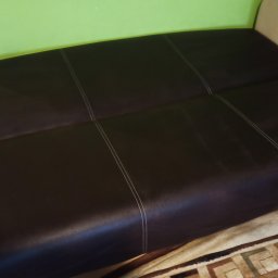 Picuś - Fragment ciemnobrązowej kanapy ze szwami, widoczny fragment zielonej ściany i wzorzystego dywanu.