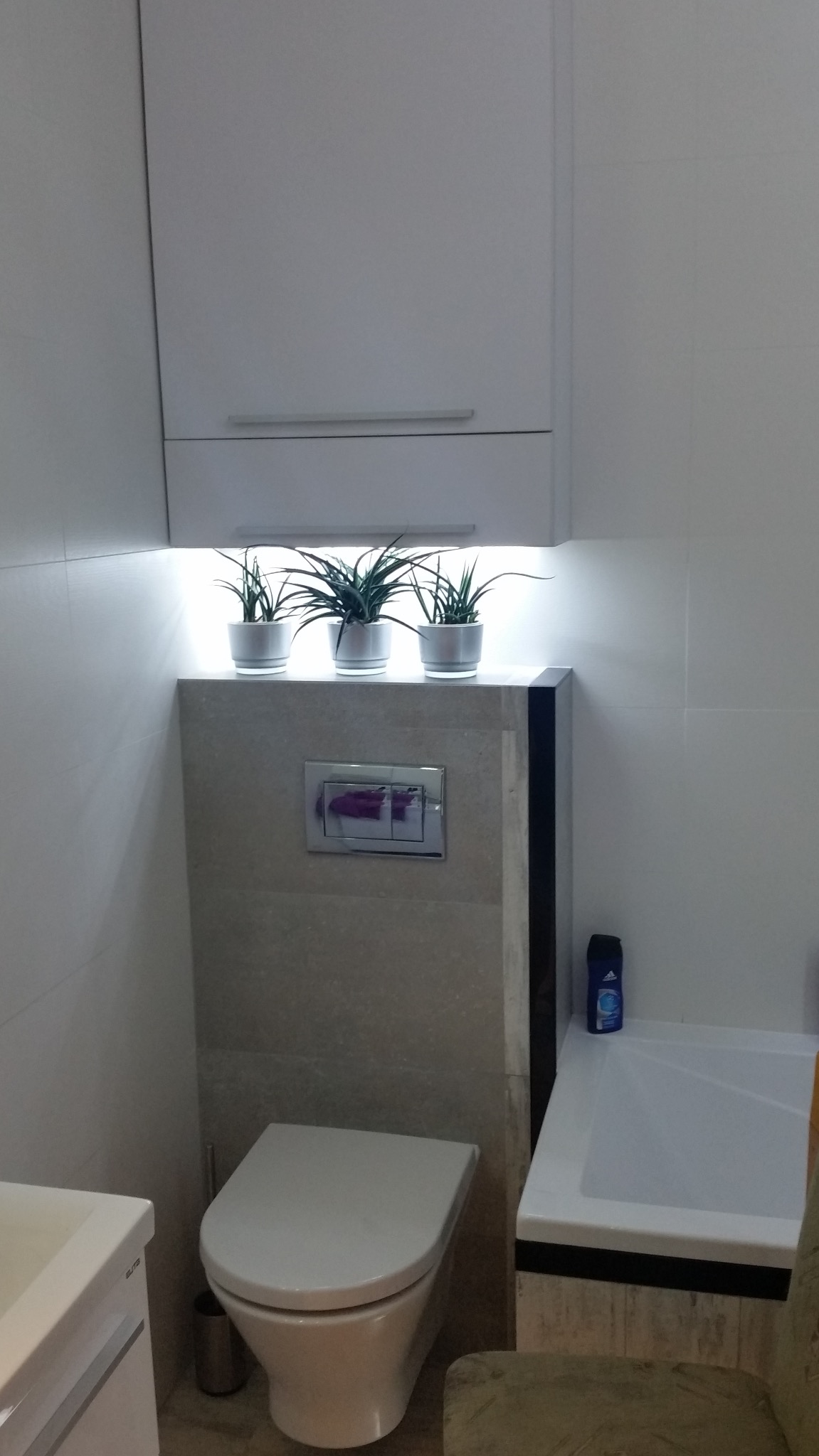 Nowoczesna toaleta podwieszana z szarą obudową, chromowanym przyciskiem spłukiwania i trzema roślinami doniczkowymi podświetlonymi LED, umieszczona obok wanny i szafki umywalkowej w wykończonej...