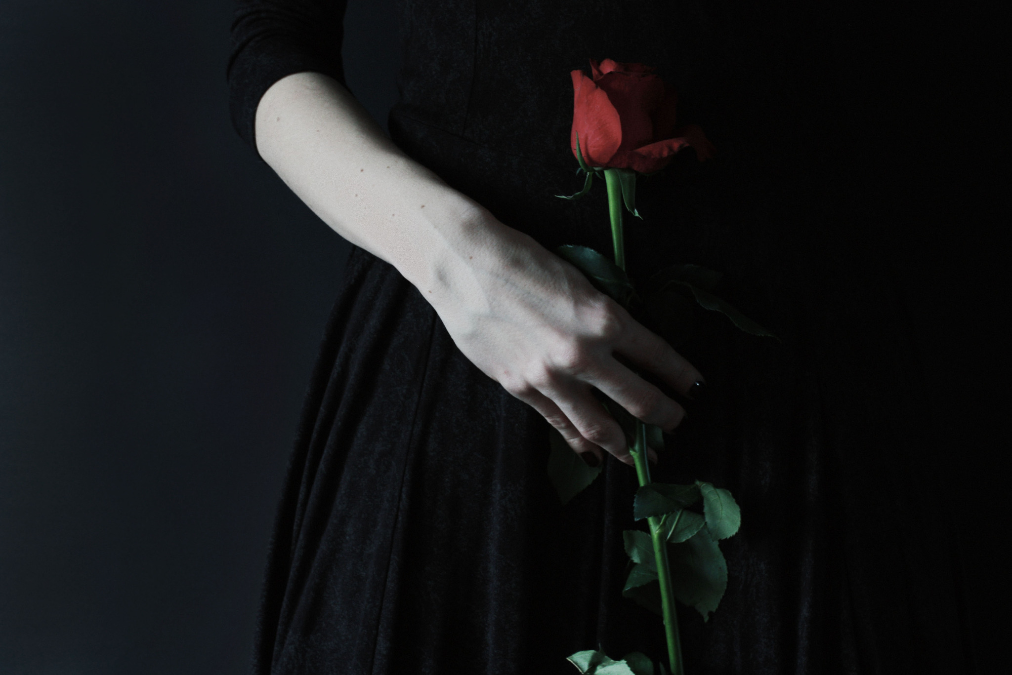 Kobieca dłoń trzyma czerwoną różę na ciemnym tle. Delikatne światło podkreśla detale dłoni i aksamitne płatki róży. Romantyczny i subtelny kadr.