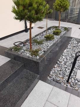 Nowoczesny taras z podwyższonymi rabatami wykończonymi ciemnym kamieniem, wypełnionymi szarym żwirem, niskimi krzewami iglastymi i młodymi drzewkami. Schody tarasowe również wyłożone ciemnym...