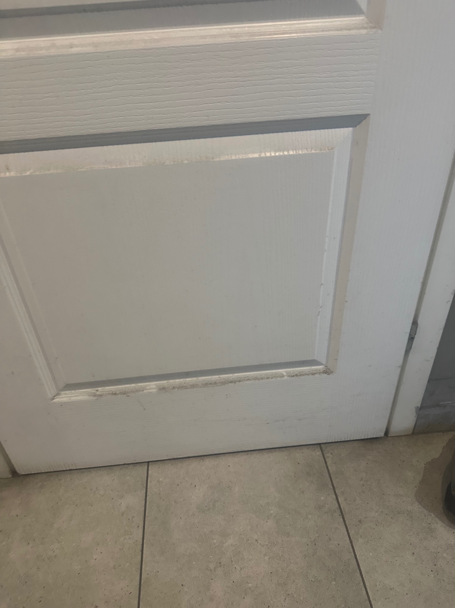 Dolna część białych, panelowych drzwi z widocznymi zabrudzeniami na styku z podłogą wyłożoną płytkami.