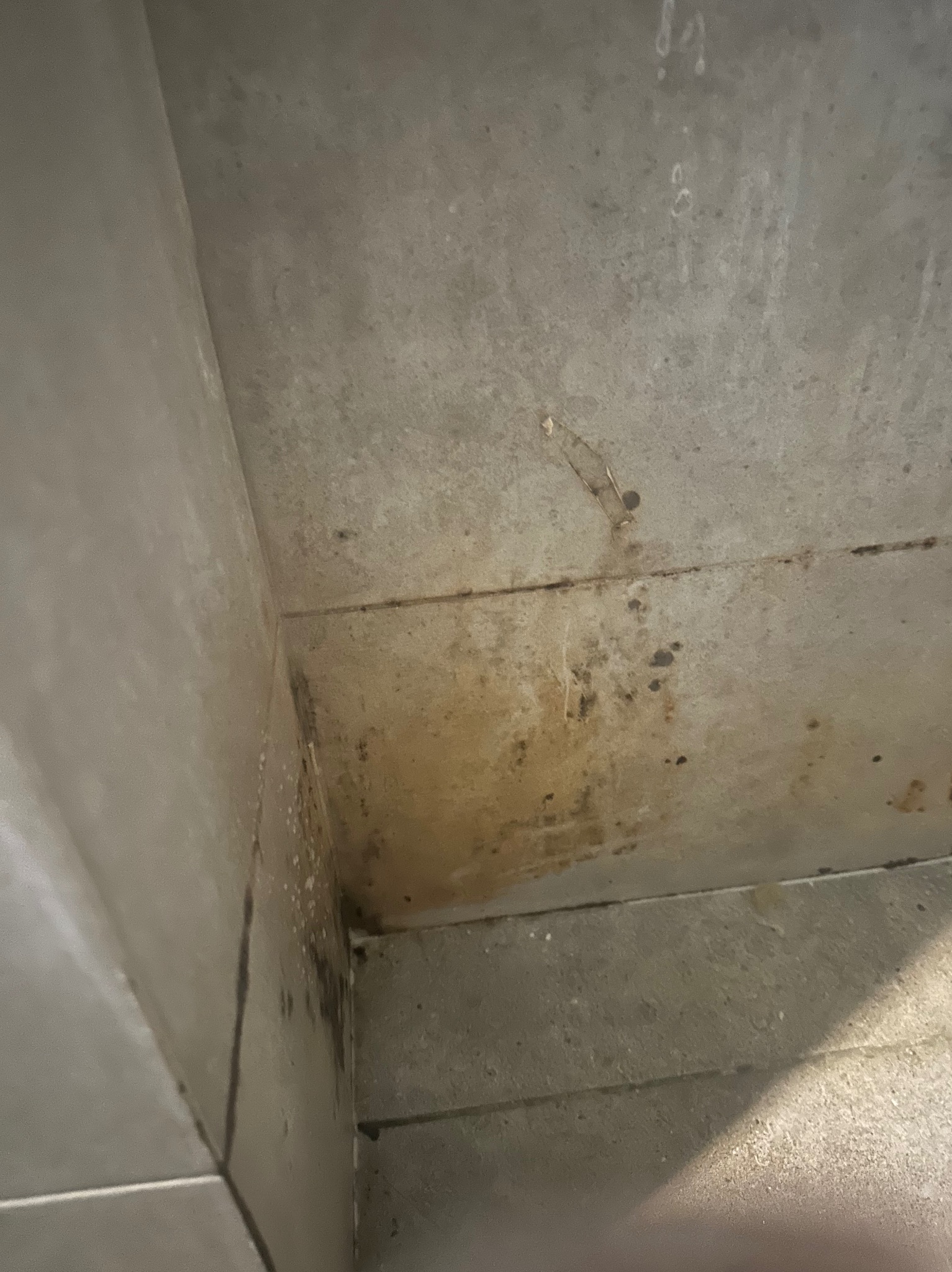 Zacieki i pleśń w rogu łazienki, widoczne na styku płytek i sufitu.