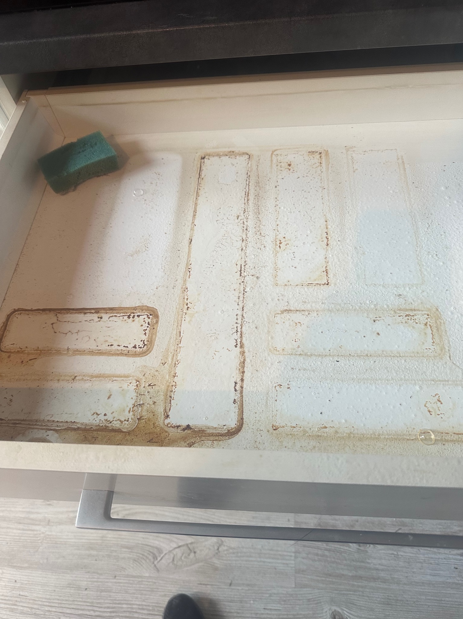 Brudna szuflada z resztkami jedzenia i gąbką w rogu, przed czyszczeniem. Widoczne zacieki i plamy. Szuflada z białego tworzywa.
