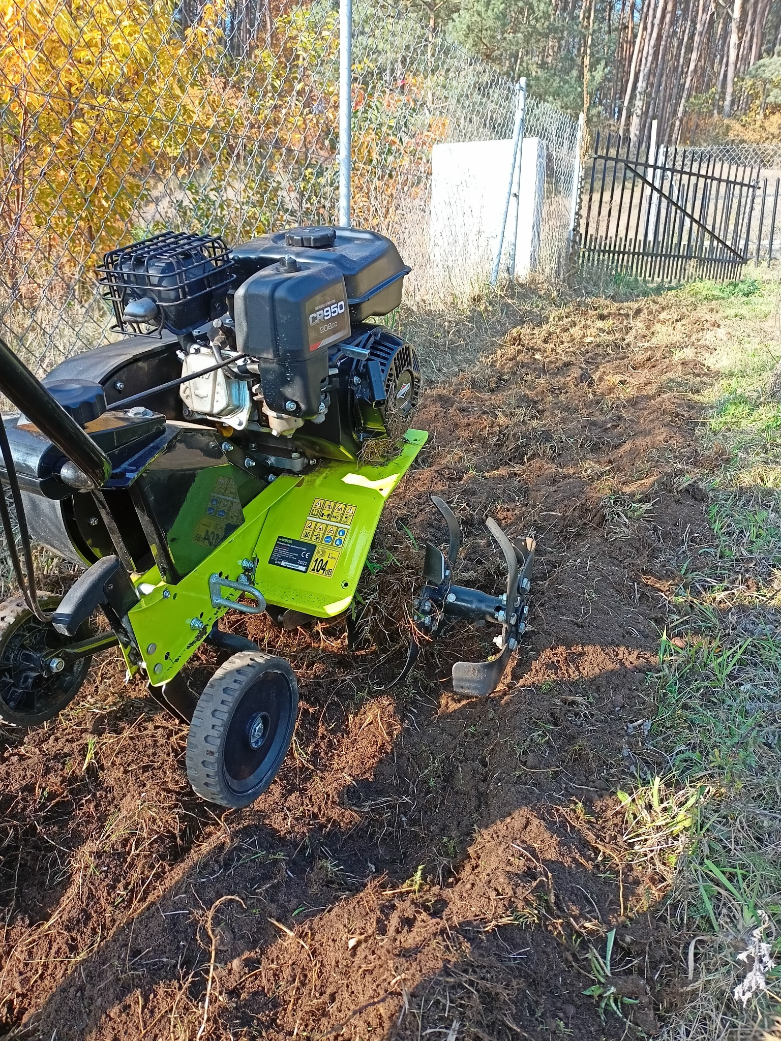 Glebogryzarka spalinowa w trakcie pracy na zagonie, widoczne świeżo przekopane fragmenty ziemi, w tle siatka ogrodzeniowa i brama.