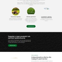 Tworzenie stron internetowych Szczecinek 1