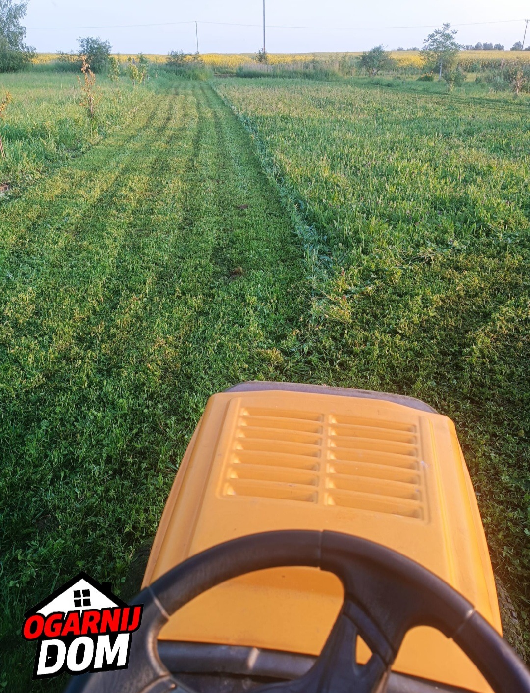 Widok z perspektywy operatora na żółty traktor koszący wysoką trawę na łące, z widocznymi śladami cięcia i polem słoneczników w tle.