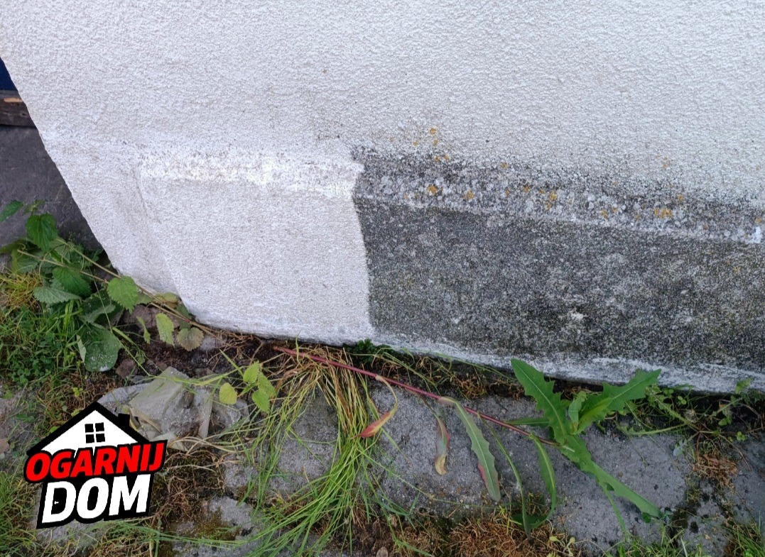 Fragment ściany budynku z widocznym efektem czyszczenia elewacji, gdzie jedna część jest biała i czysta, a druga szara i zabrudzona, z rosnącą roślinnością u podstawy.