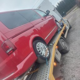 Transport samochodów z zagranicy Bibice 4