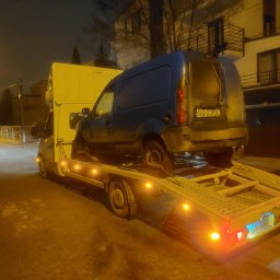 Transport samochodów z zagranicy Bibice 3