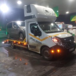 Transport samochodów z zagranicy Bibice 1