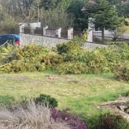 Świeżo ścięte gałęzie drzew iglastych leżące na trawniku przed domem z kamiennym ogrodzeniem; widoczne pniaki po wycince.