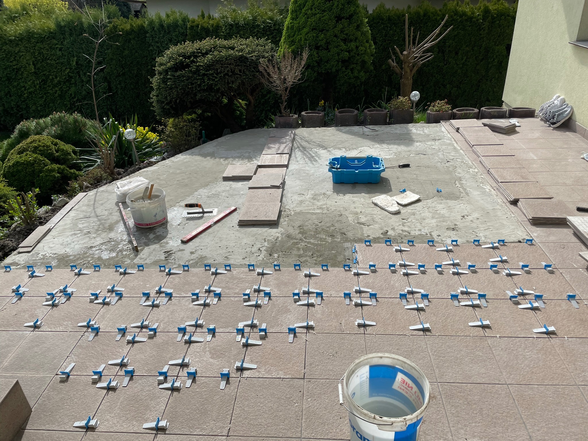 Układanie brązowych płytek na tarasie z widocznymi niebieskimi elementami poziomującymi, wiadro z klejem i narzędzia w tle, ogród z tujami.