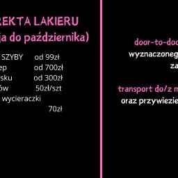 Sprzątanie mieszkań Kolonia Ostrowicka 4