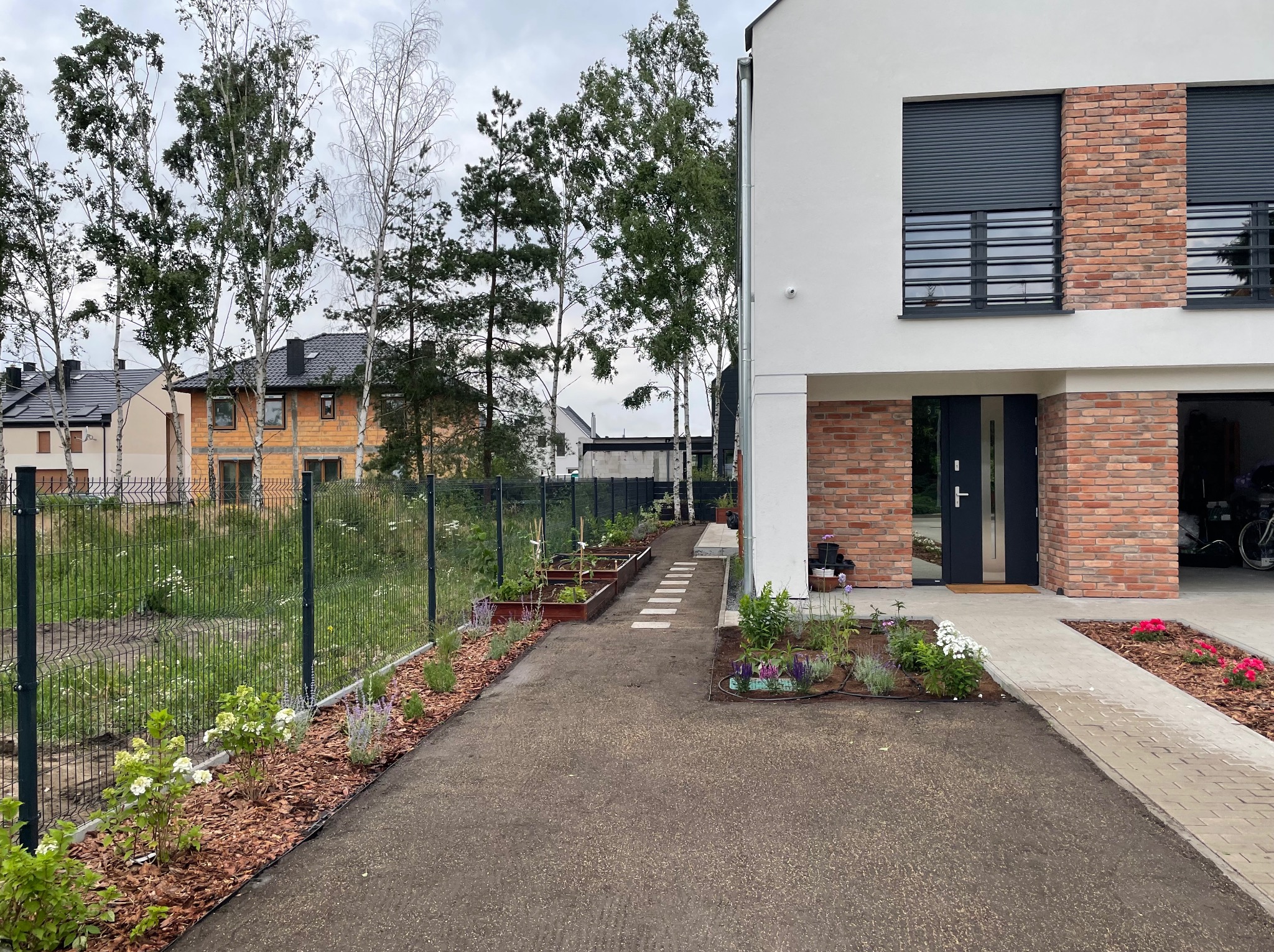 Nowoczesny ogród po założeniu: świeżo zasiana trawa, rabaty kwiatowe z korą, podwyższone grządki warzywne, ścieżka z płyt betonowych, ogrodzenie panelowe, dom z ceglaną elewacją i roletami...